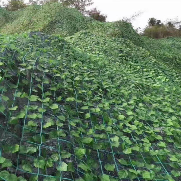 凱里綠化鋼塑格柵