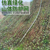 綠葉荷蘭網(wǎng)