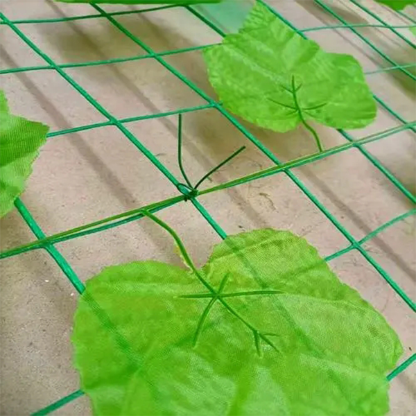 貴州綠葉荷蘭網(wǎng)銷售