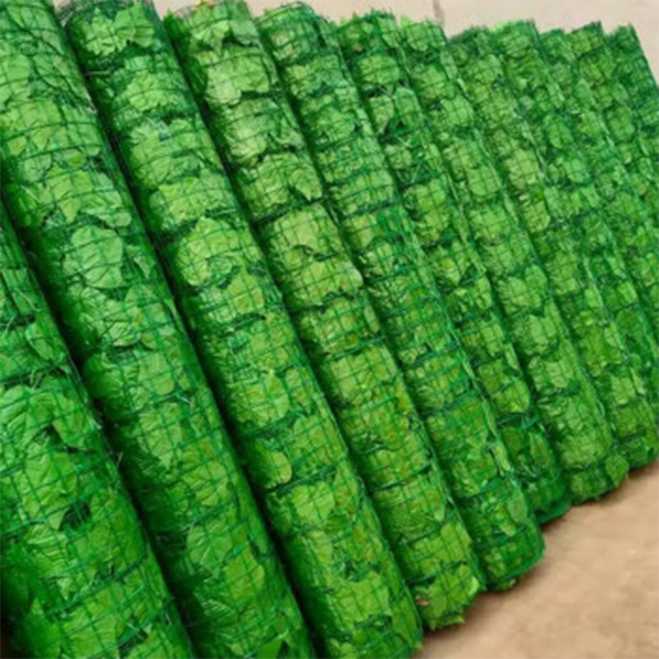 貴州綠葉荷蘭網(wǎng)