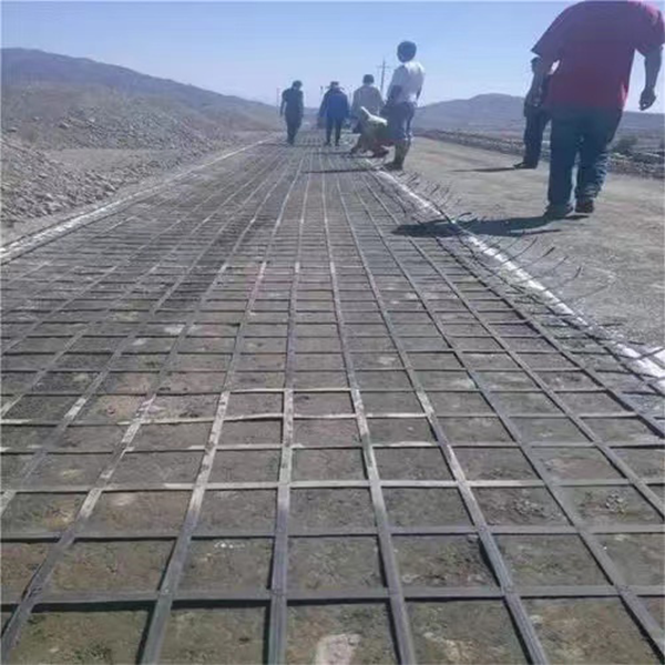 貴州鋼塑格柵廠家直銷