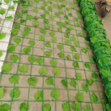 凱里鋼塑格柵銷(xiāo)售廠家